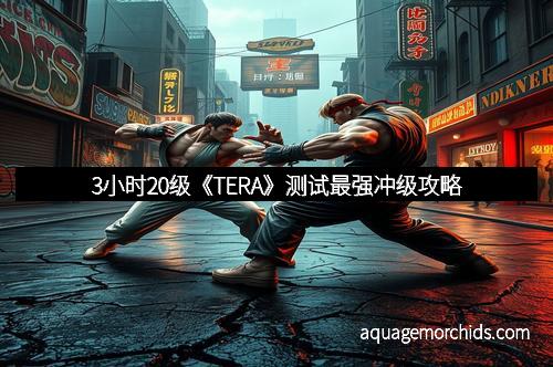 3小时20级《TERA》测试最强冲级攻略