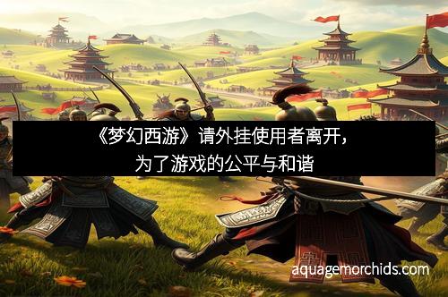 《梦幻西游》请外挂使用者离开，为了游戏的公平与和谐